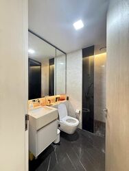 Amber Park (D15), Condominium #496152421